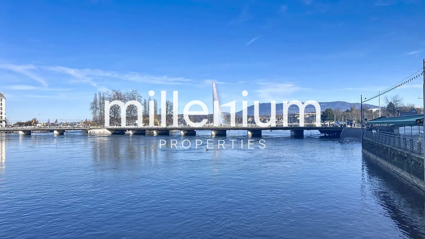 Apartment for rent - 1201 Genève