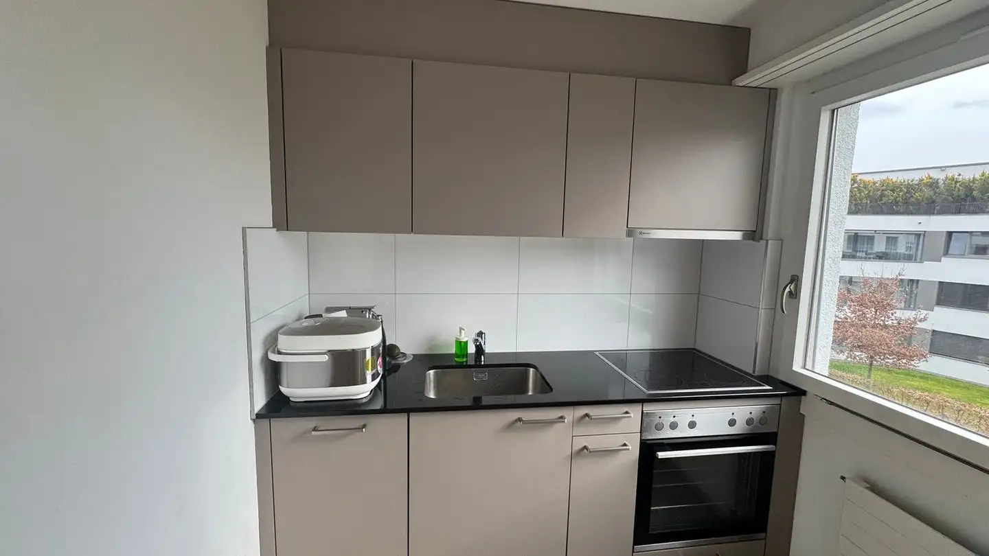 Apartment for rent - Schafmattweg 83, 4102 Binningen - Photo 3