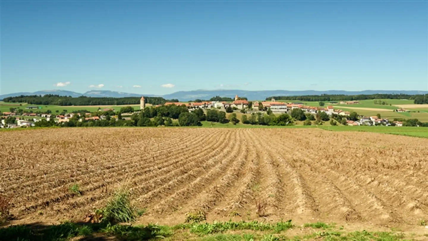 Farm for sale - Chemin Des Planches 14, 1684 Mézières FR - Photo 2