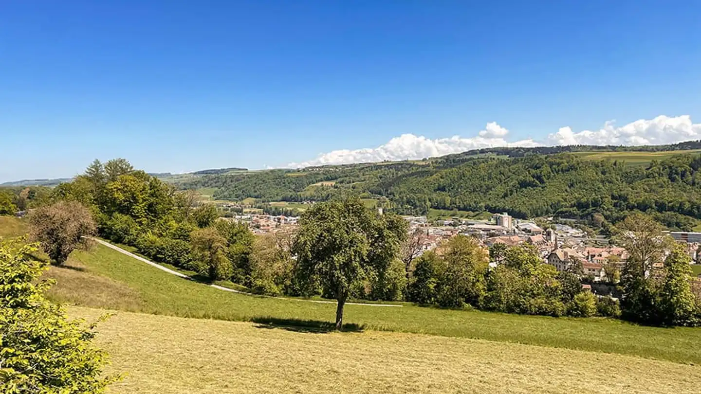 Einfamilienhaus kaufen - 1510 Moudon - Foto 2