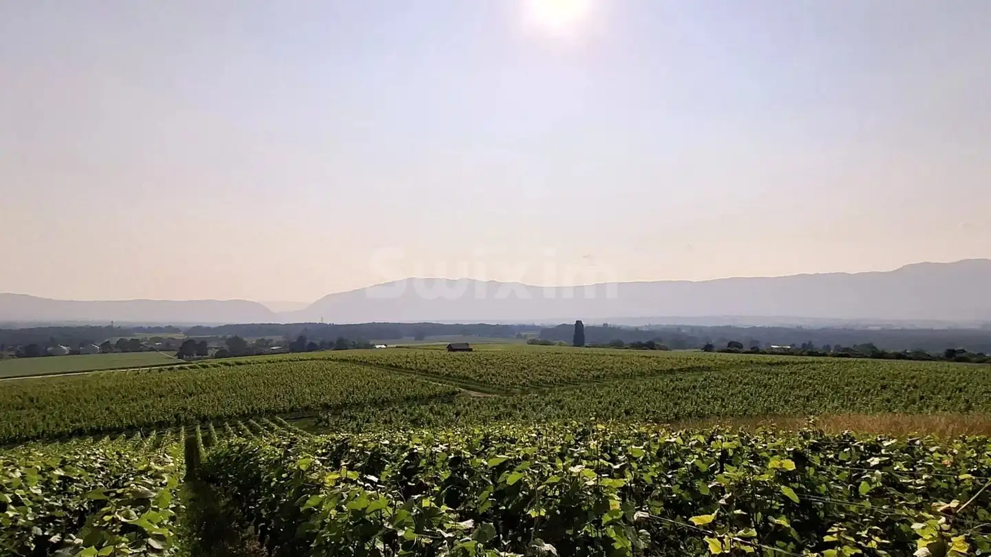 Single house for sale - 1204 Genève