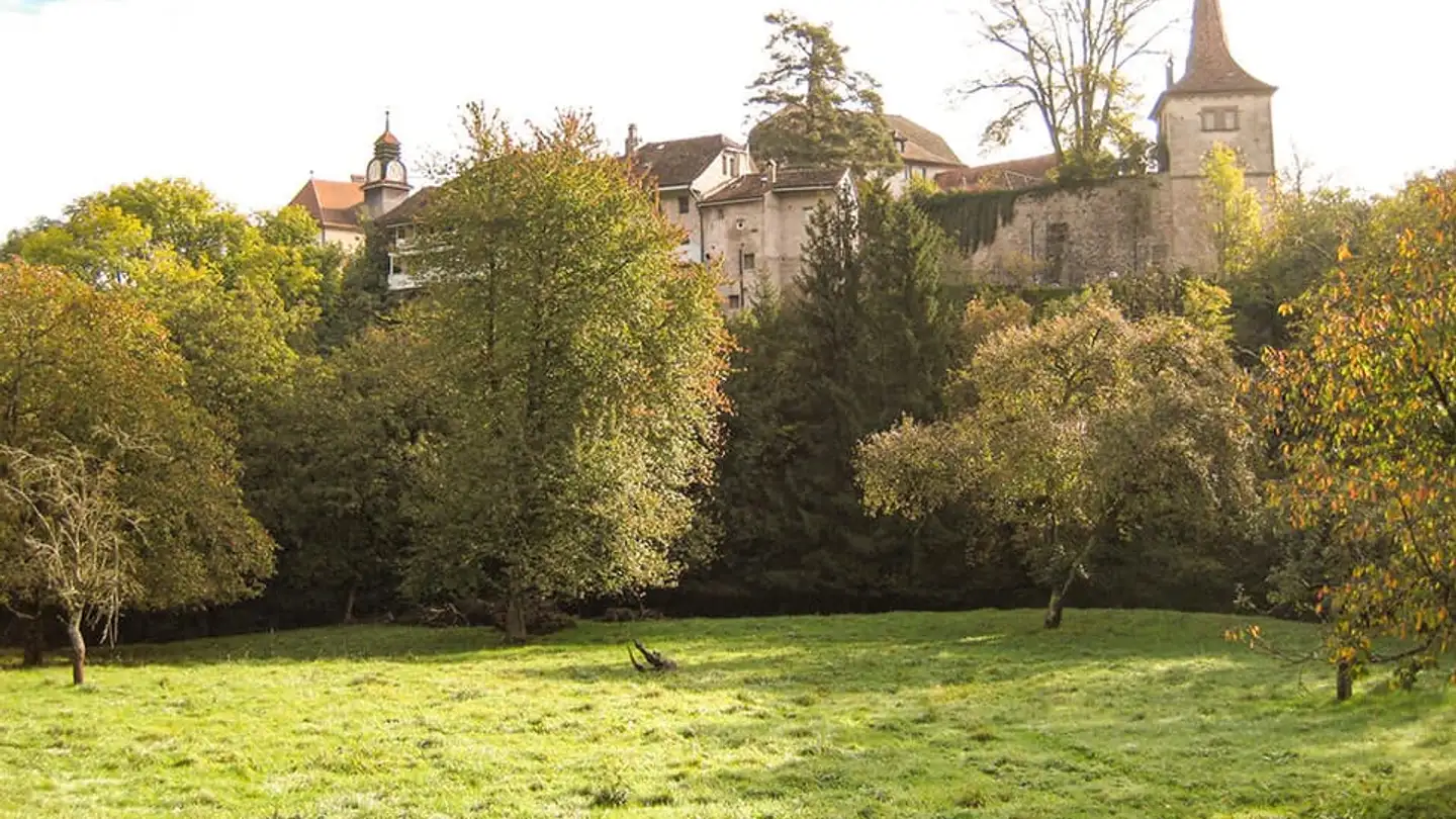 Einfamilienhaus kaufen - 1510 Moudon - Foto 3