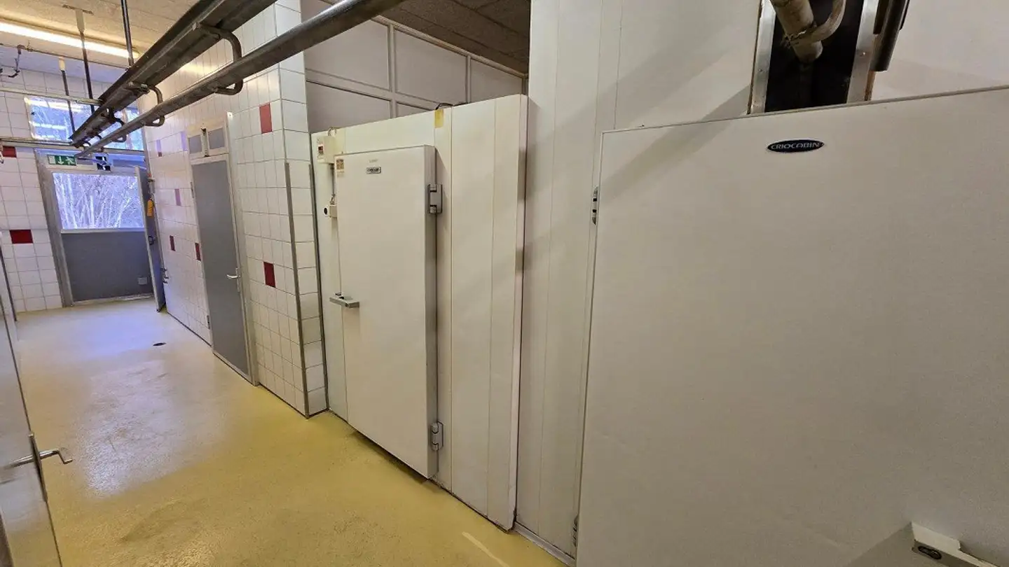 Commercial à louer - Mühlemattstrasse 39, 3178 Bösingen - Photo 3