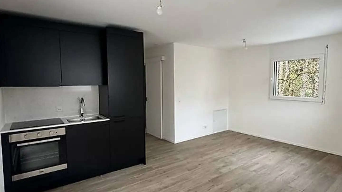 Studio in affitto - Chemin De Boissonnet, 1010 Lausanne - Foto 2