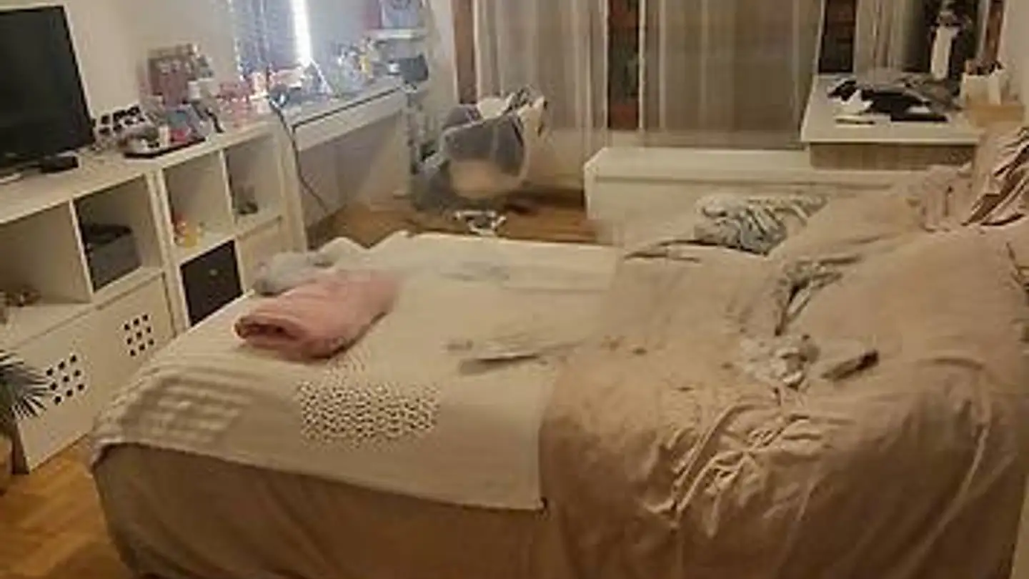 Appartement à louer - Avenue Eugène- Lance, 1212 Grand-Lancy - Photo 4