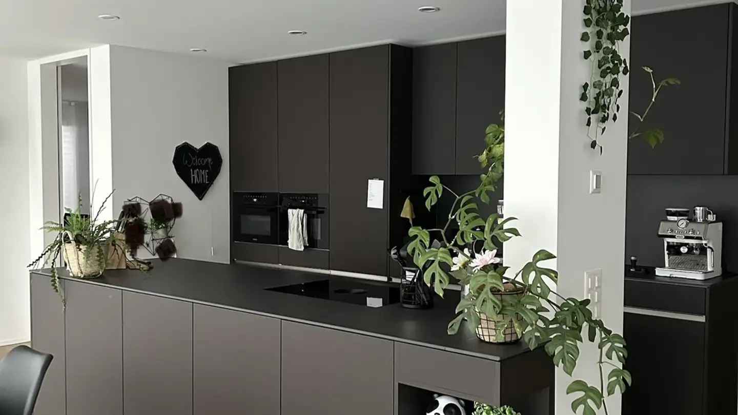 Appartamento in affitto - 5018 Erlinsbach