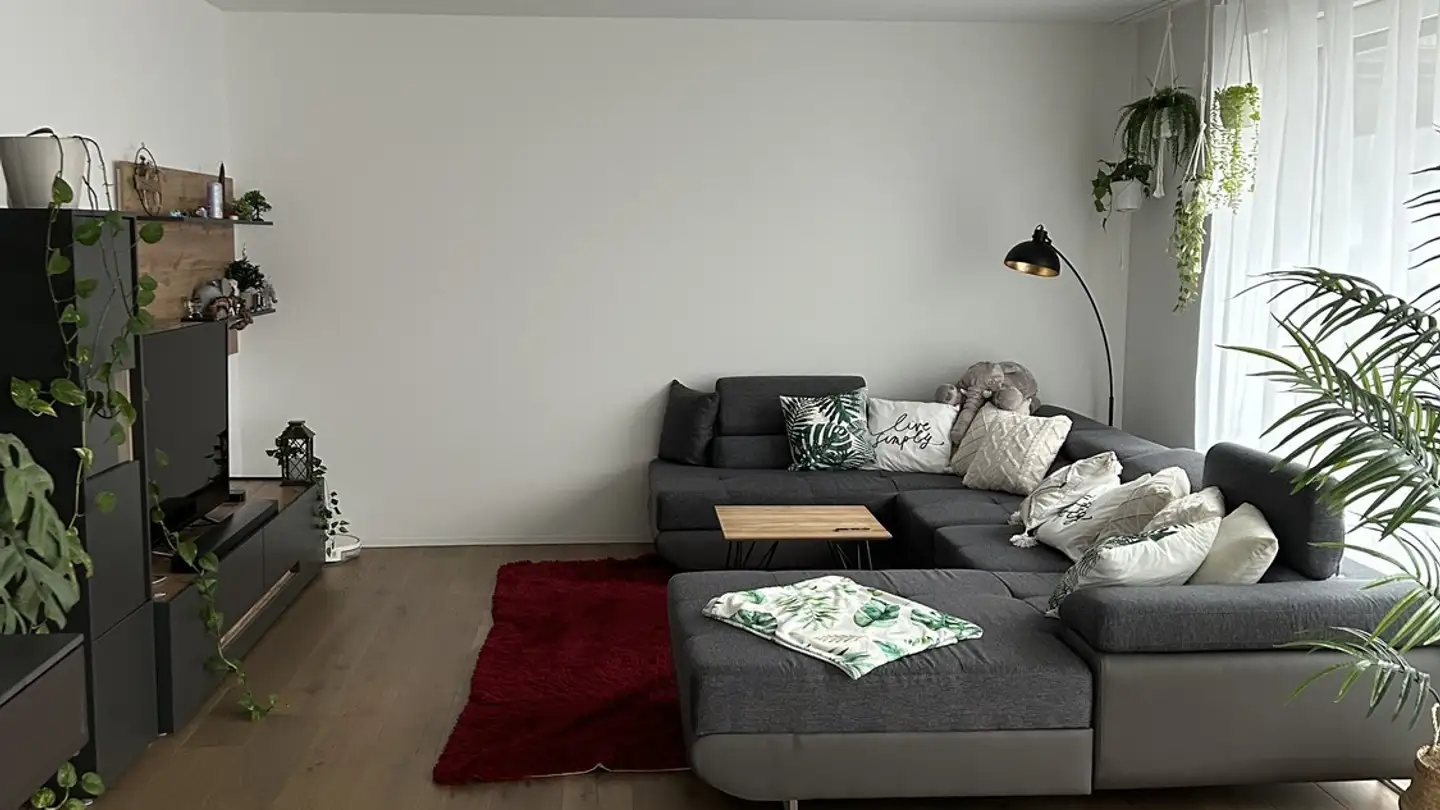 Appartamento in affitto - 5018 Erlinsbach - Photo 3