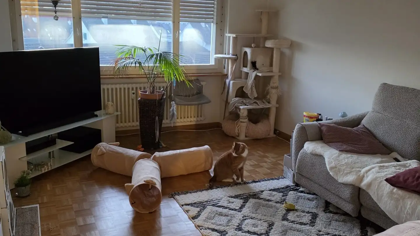 Wohnung mieten - 4410 Liestal