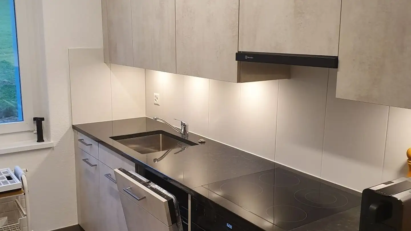 Appartamento in affitto - Haldenstrasse 15, 9548 Matzingen - Foto 2
