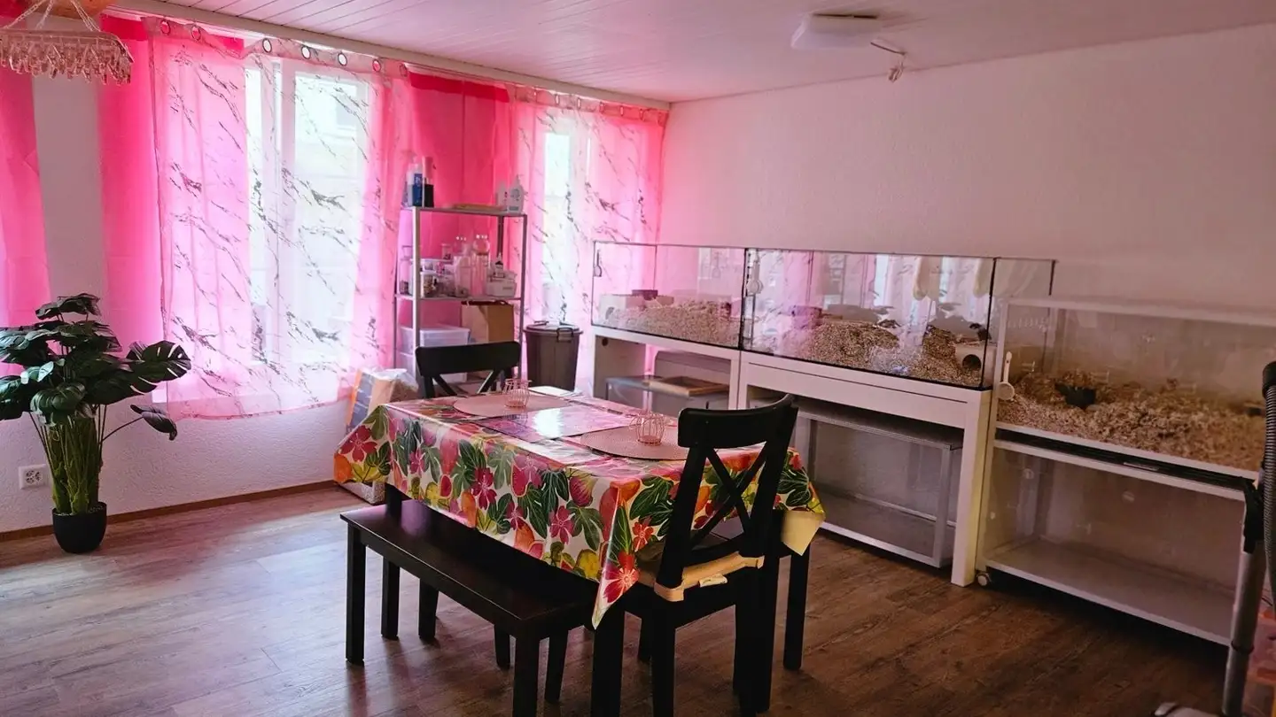 Appartamento in affitto - Brunnenplatz, 4950 Huttwil - Photo 4