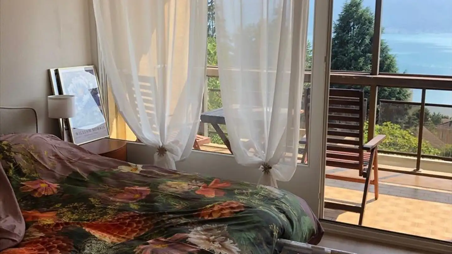 Appartamento ammobiliato in affitto - Chemin Des Vuarennes 35, 1820 Montreux