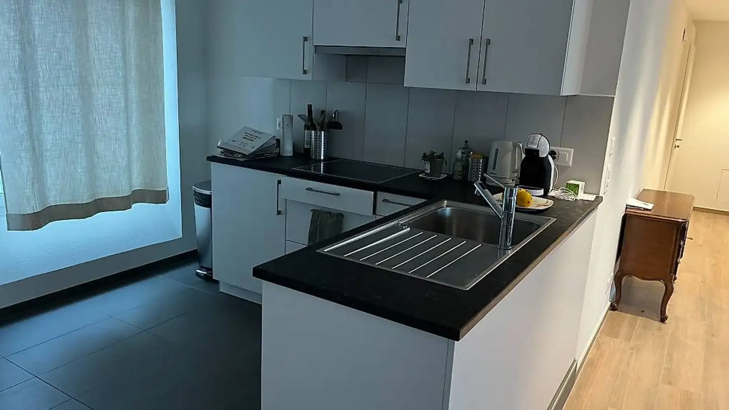 Loft in affitto - Boulevard De Grancy, 1006 Lausanne - Foto 3