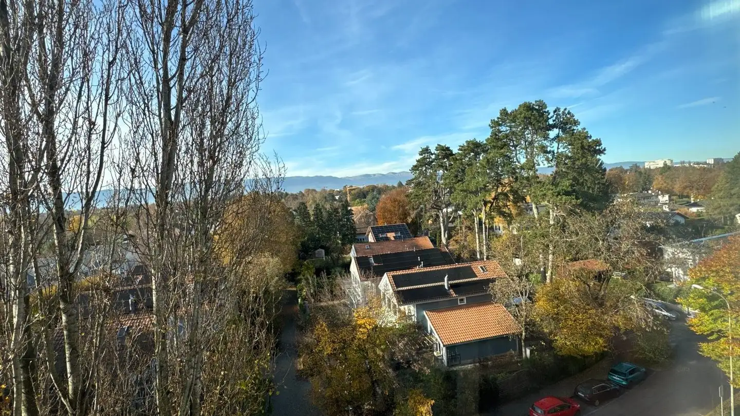 Dachgeschosswohnung kaufen - Route Du Grand-Lancy, 1212 Grand-Lancy