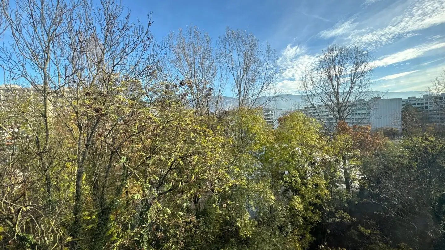 Attico in vendita - Route Du Grand-Lancy, 1212 Grand-Lancy - Photo 4