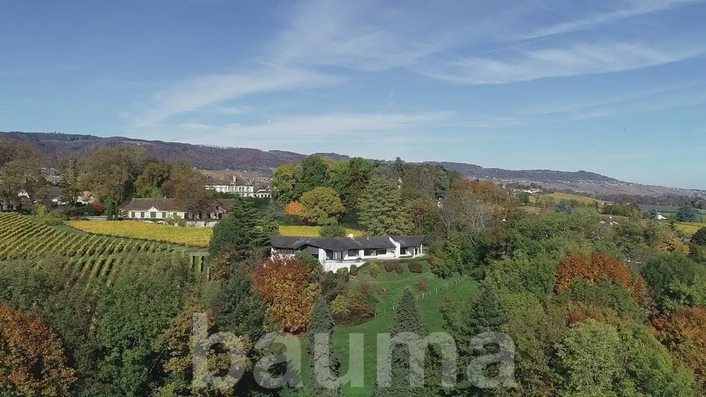 Einfamilienhaus kaufen - 1195 Dully