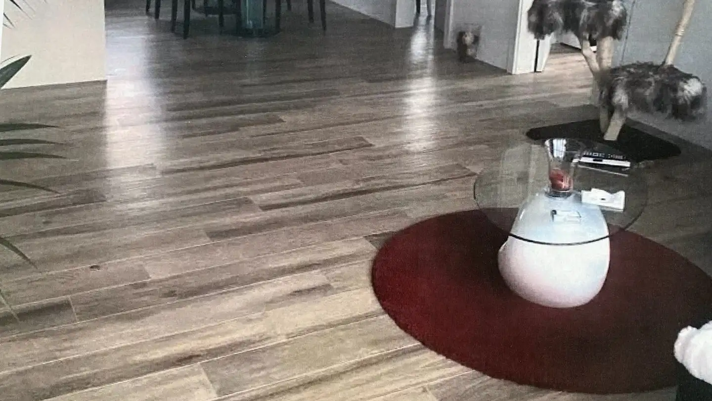 Penthouse mieten - Wassermattweg 33, 3176 Neuenegg - Foto 2