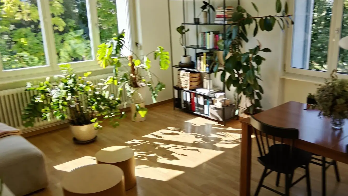 Appartamento in affitto - Rue Du Krähenberg / Krähenbergstrasse, 2503 Biel/Bienne - Foto 2