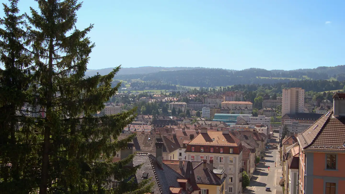 Chalet à vendre - Ruelle De Montbrillant 13, 2300 La Chaux-de-Fonds - Photo 2