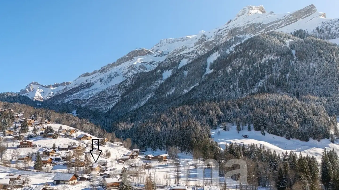 Chalet mieten - Les Diablerets, 1865 Les Diablerets - Foto 2