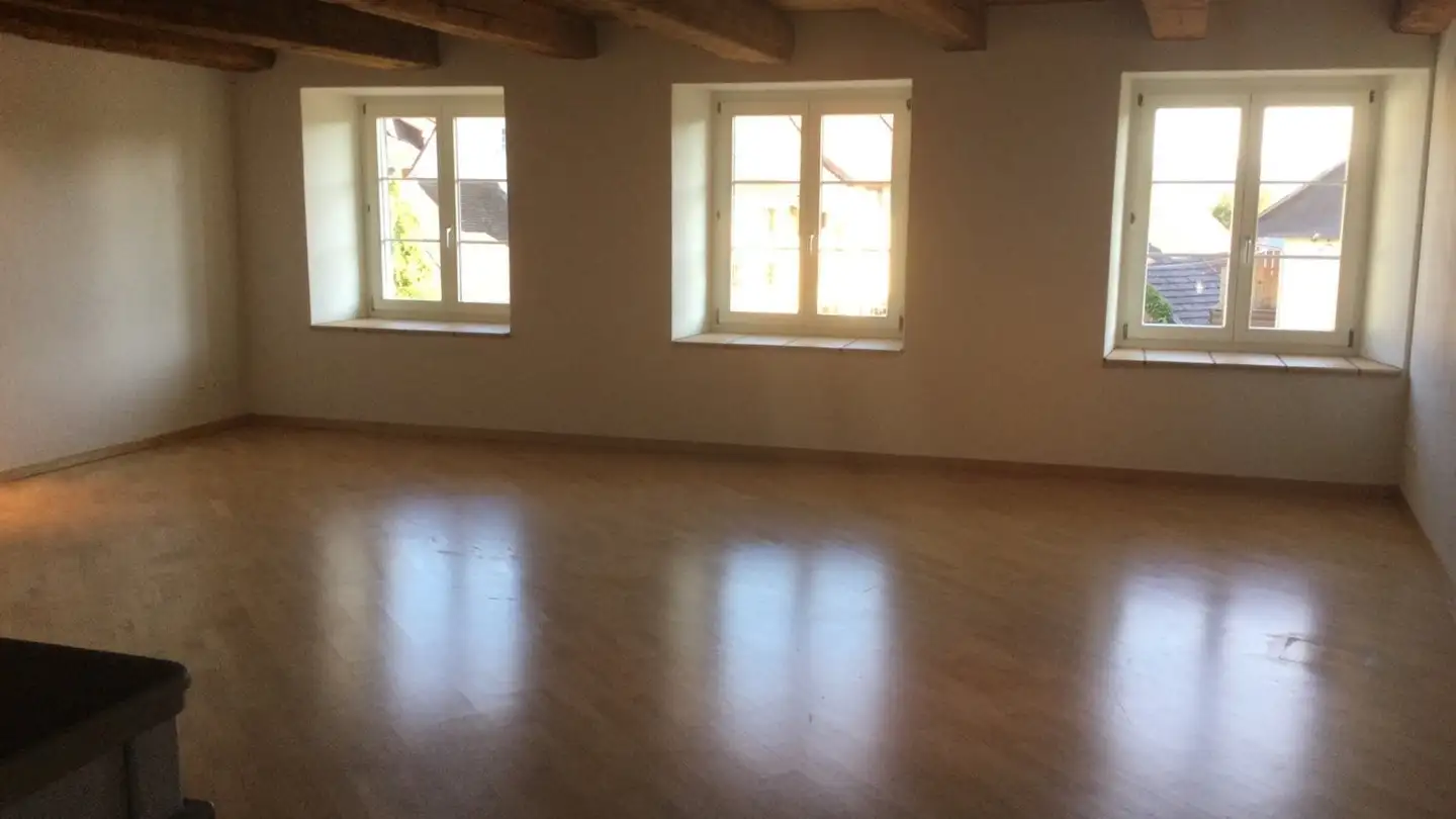 Appartamento in affitto - 8219 Trasadingen - Photo 3