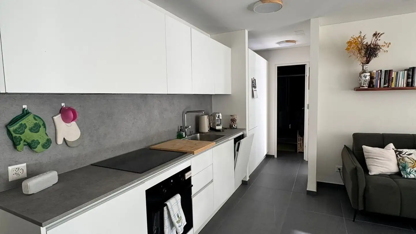 Appartamento in affitto - Pian d'Inguèll, 6967 Dino - Photo 4