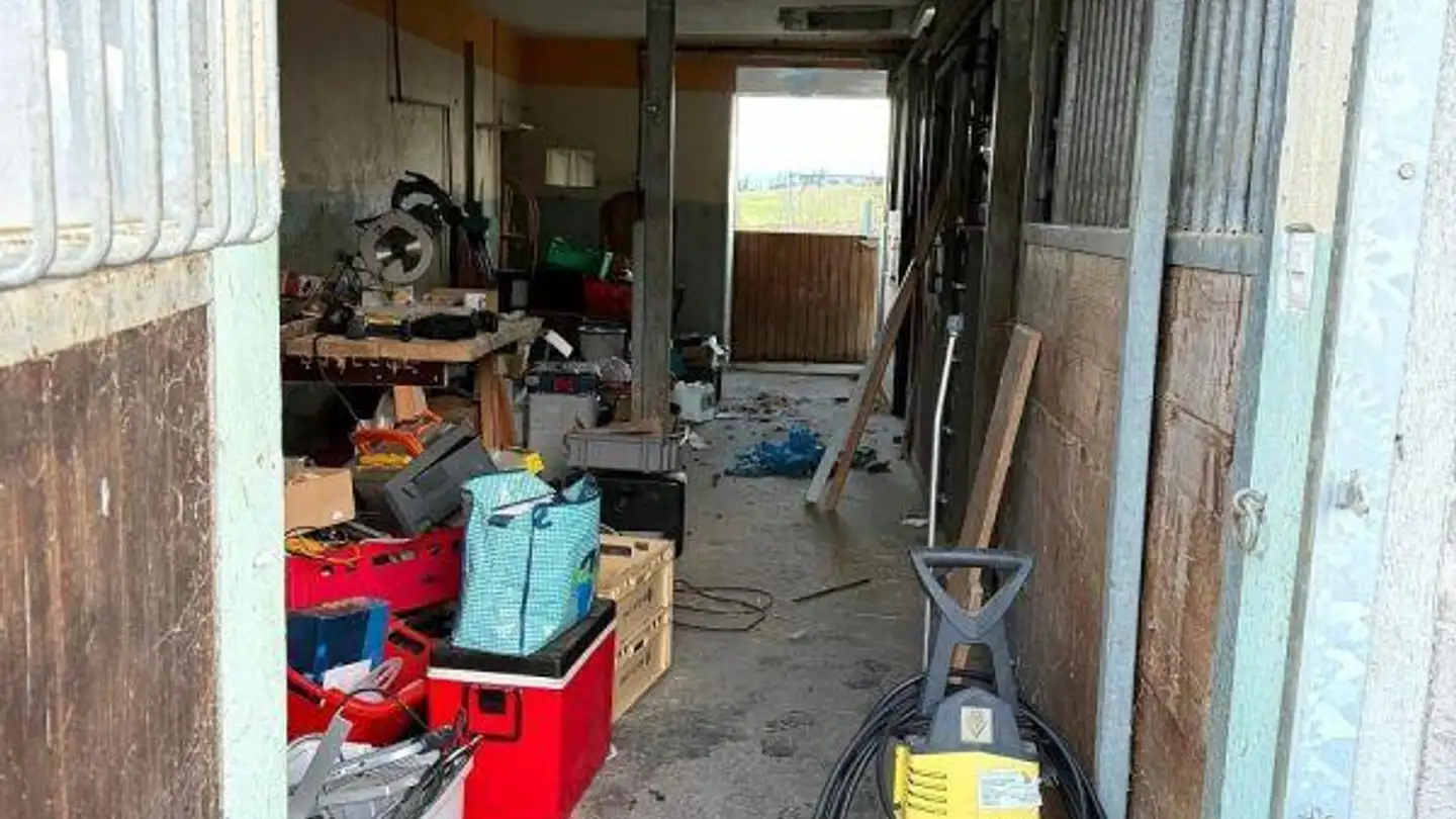 Box per cavalli in affitto - Linden 17, 9300 Wittenbach - Foto 2