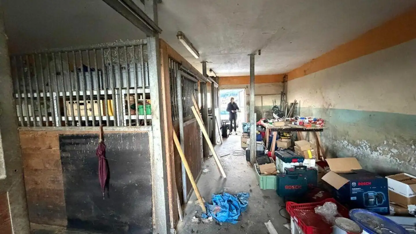 Box per cavalli in affitto - Linden 17, 9300 Wittenbach - Foto 3