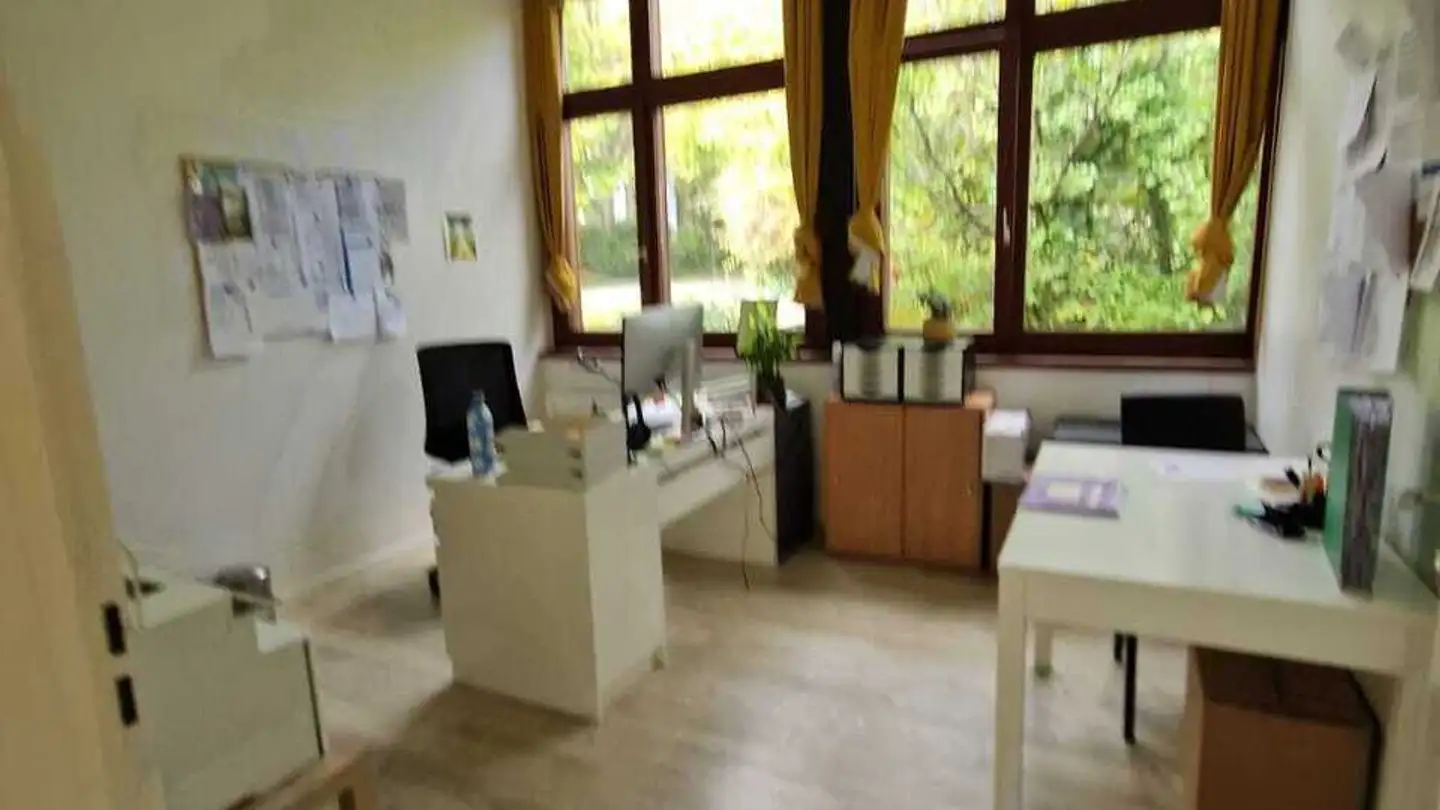 Commercial for rent - Chemin De Montolivet 19, 1006 Lausanne - Photo 2