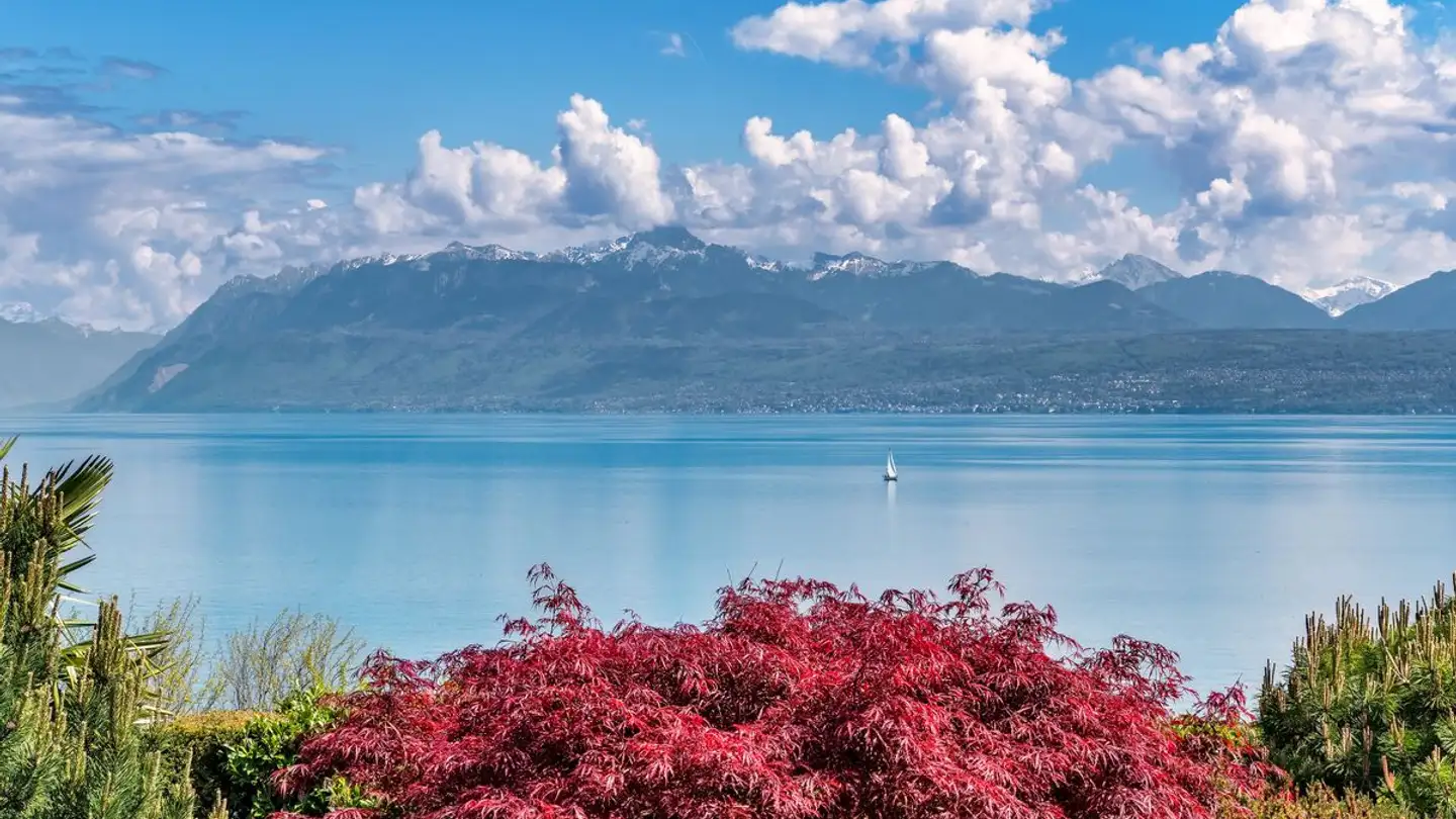 Maison individuelle à vendre - 1162 St-Prex