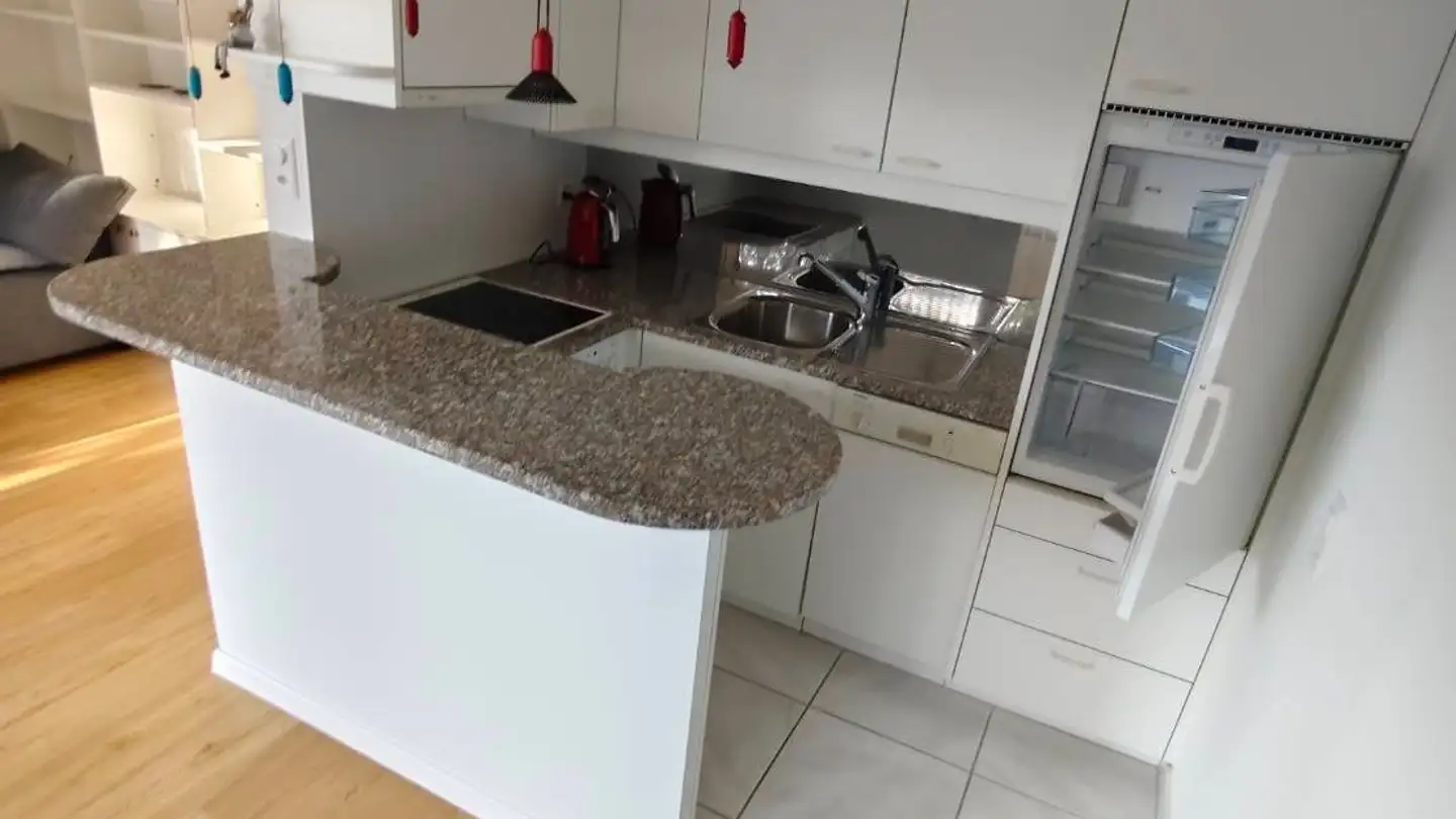 Studio for rent - Erlenweg 104, 8955 Oetwil an der Limmat - Photo 3