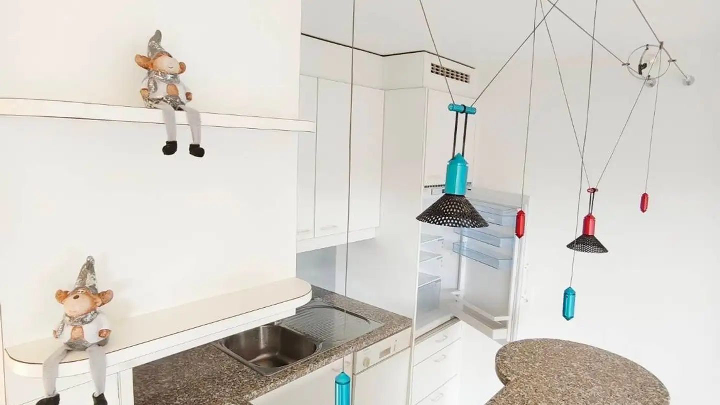 Studio for rent - Erlenweg 104, 8955 Oetwil an der Limmat - Photo 4