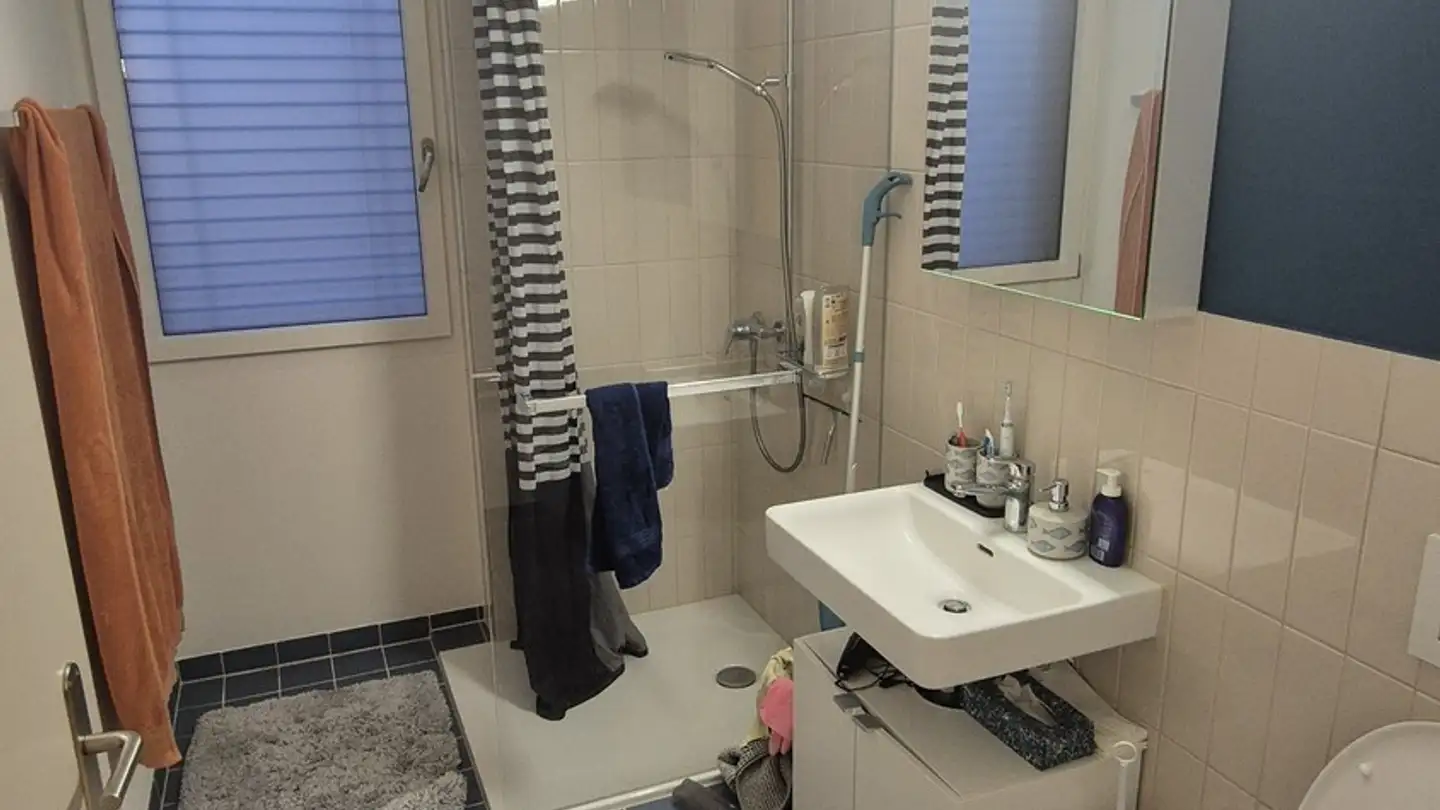 Appartamento ammobiliato in affitto - Am Stadtrand, 8600 Dübendorf - Foto 4