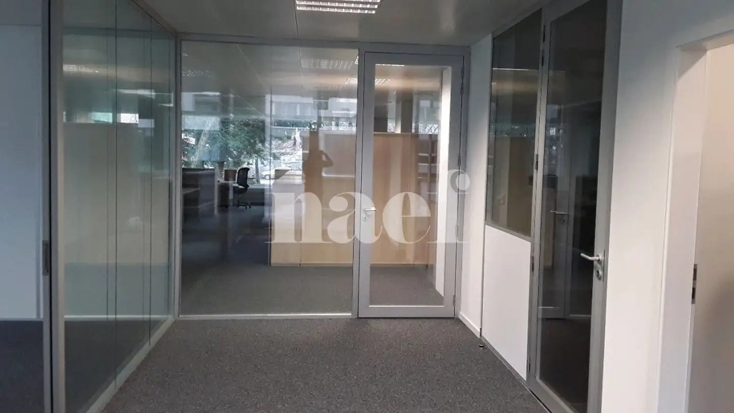 Spazio ufficio in affitto - Chemin Ami- Argand 9, 1290 Versoix - Foto 2