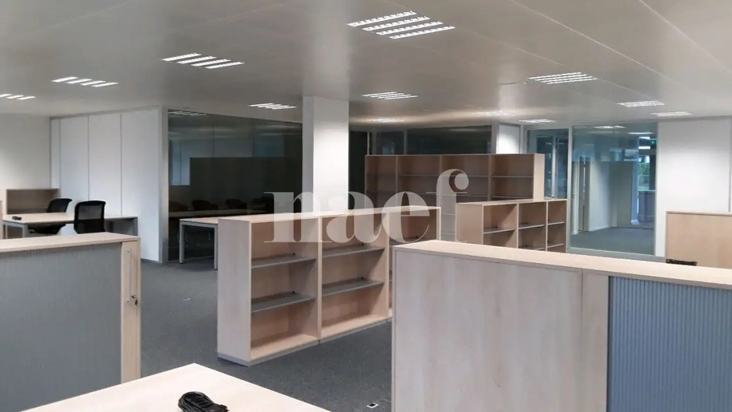 Spazio ufficio in affitto - Chemin Ami- Argand 9, 1290 Versoix - Foto 4