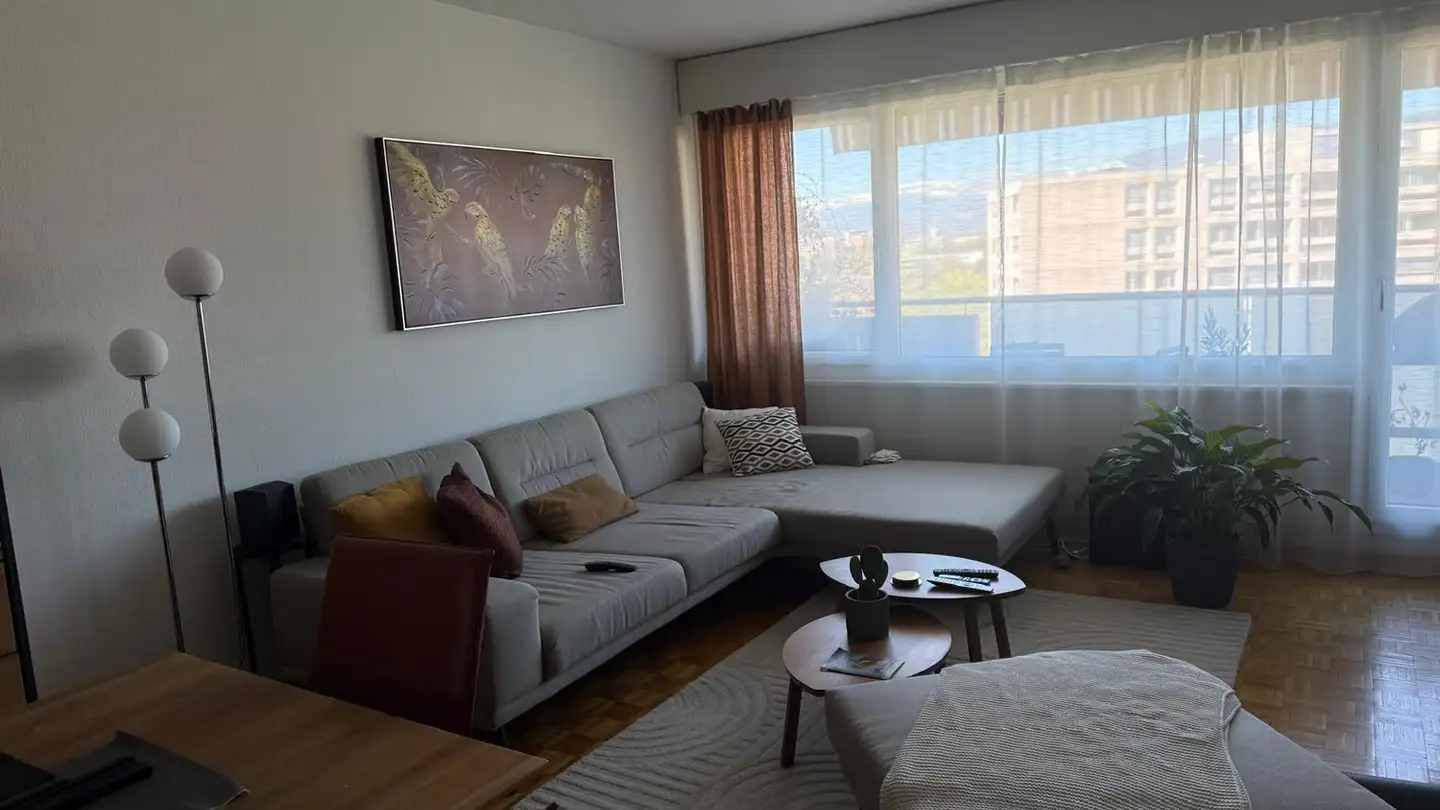 Appartamento in affitto - 1260 Nyon - Foto 4