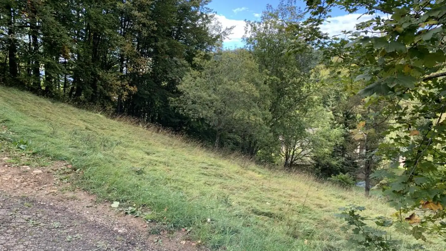 Constructible plot for sale - 1264 St-Cergue