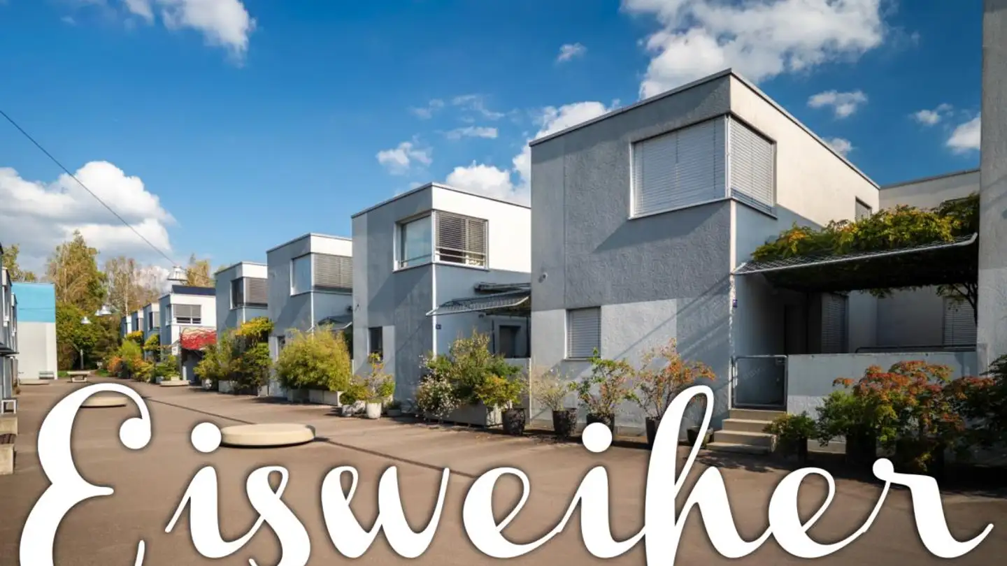 Maison individuelle à vendre - Eisweiherstrasse 139, 8400 Winterthur