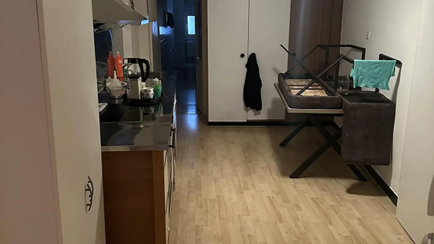 Wohnung mieten - Rechengasse 5, 5620 Bremgarten AG - Foto 4