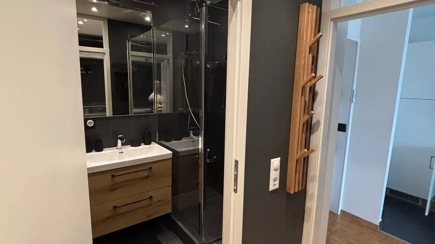 Attico in affitto - Route De Florissant 86, 1206 Genève - Foto 3