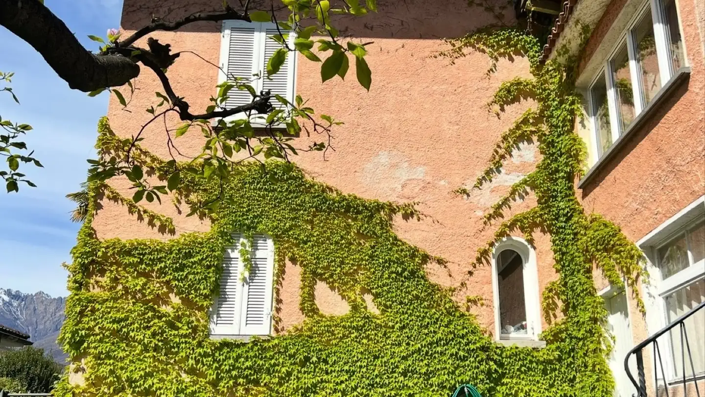 Casa singola in vendita - Via Pancaldi-Mola, 6612 Ascona - Photo 2