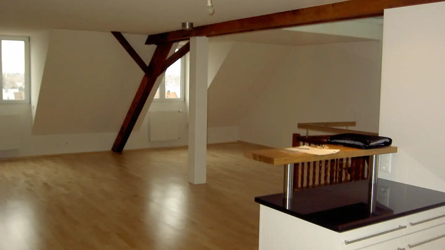 Penthouse for sale - Peter Rot-Strasse 56, 4058 Basel - Photo 4