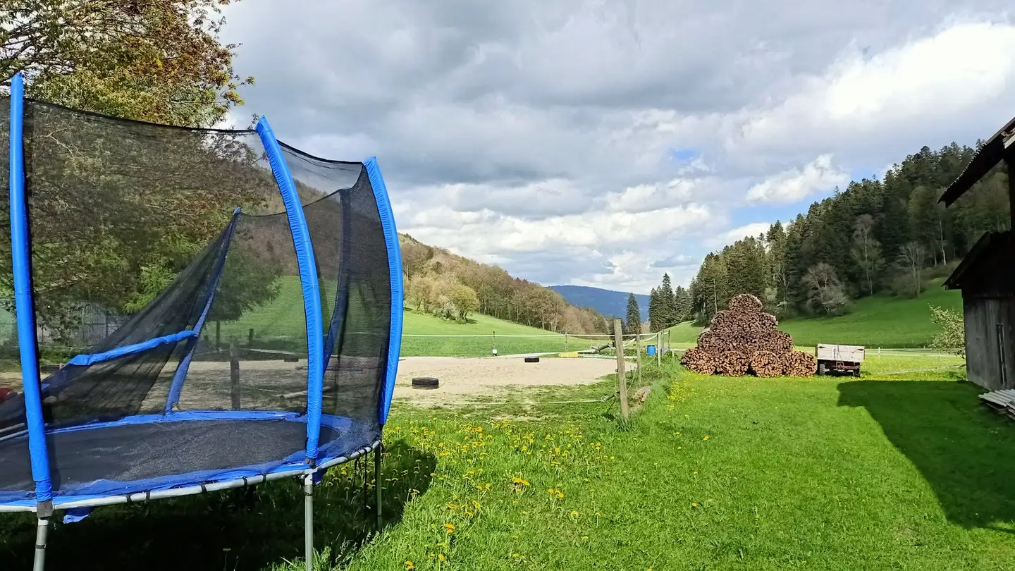 Fattoria in vendita - 2735 Champoz - Photo 2