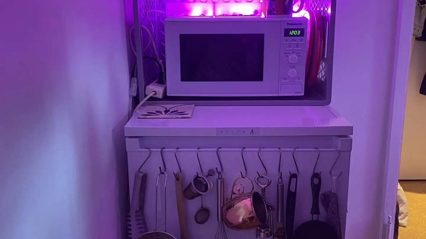 Wohnung mieten - 8044 Zürich - Foto 3