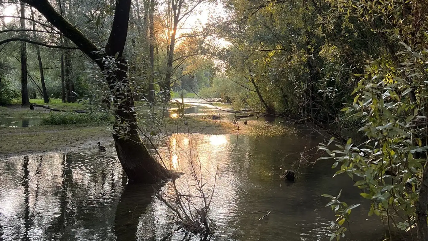 Chambre à louer - Winzerhalde 32, 8049 Zürich - Photo 4