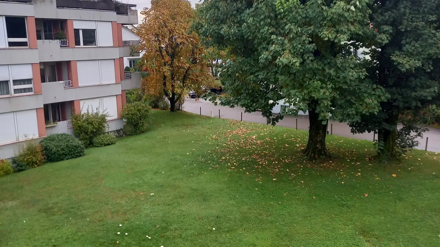 Appartamento in affitto - Föhrlibuckstrasse 2, 8304 Wallisellen - Photo 3