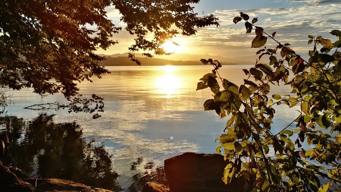Zimmer mieten - Giessen 2, 8820 Wädenswil - Foto 2