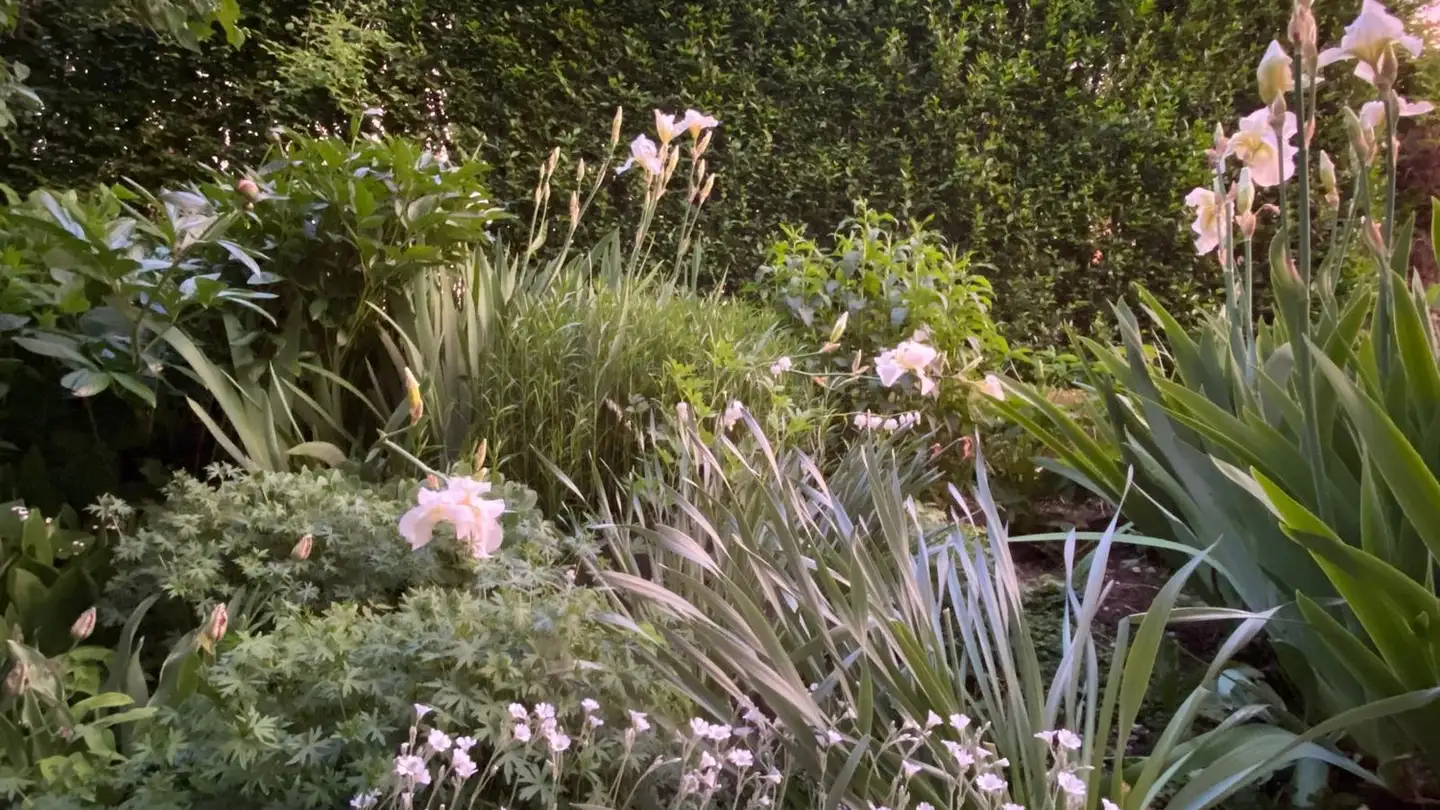 Villa for sale - 8400 Winterthur - Photo 2