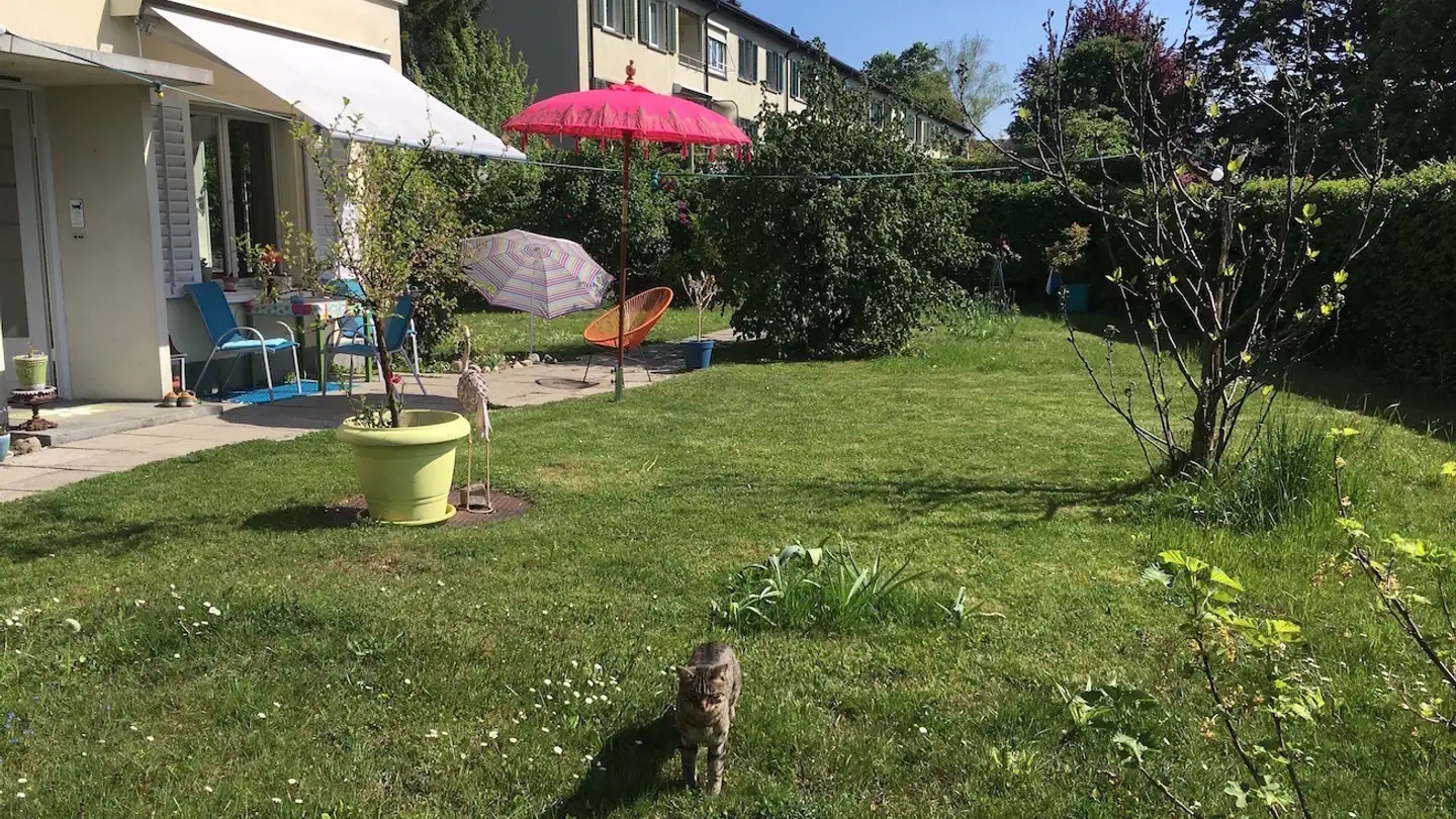 Furnished apartment for rent - 8038 Zürich