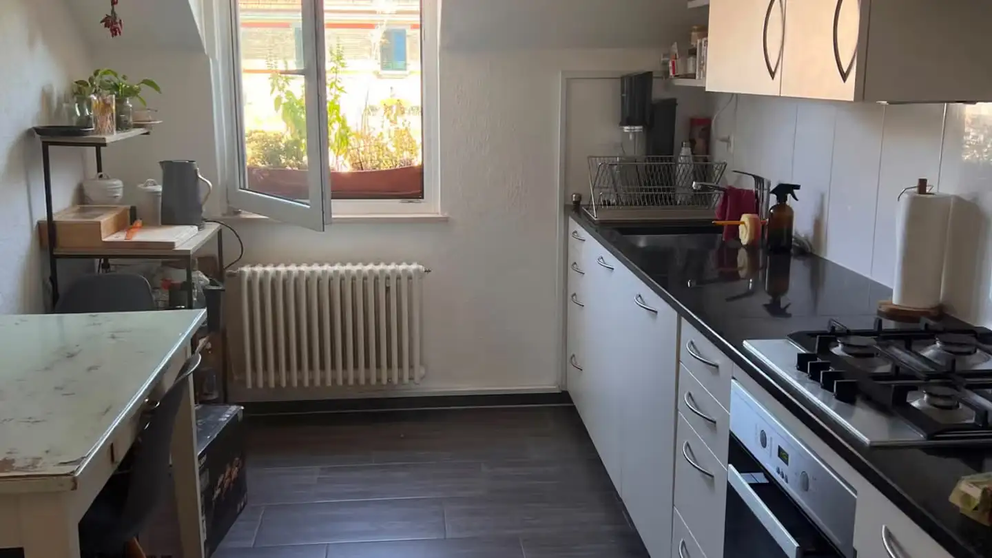Chambre à louer - Albrechtstrasse, 8406 Winterthur - Photo 2