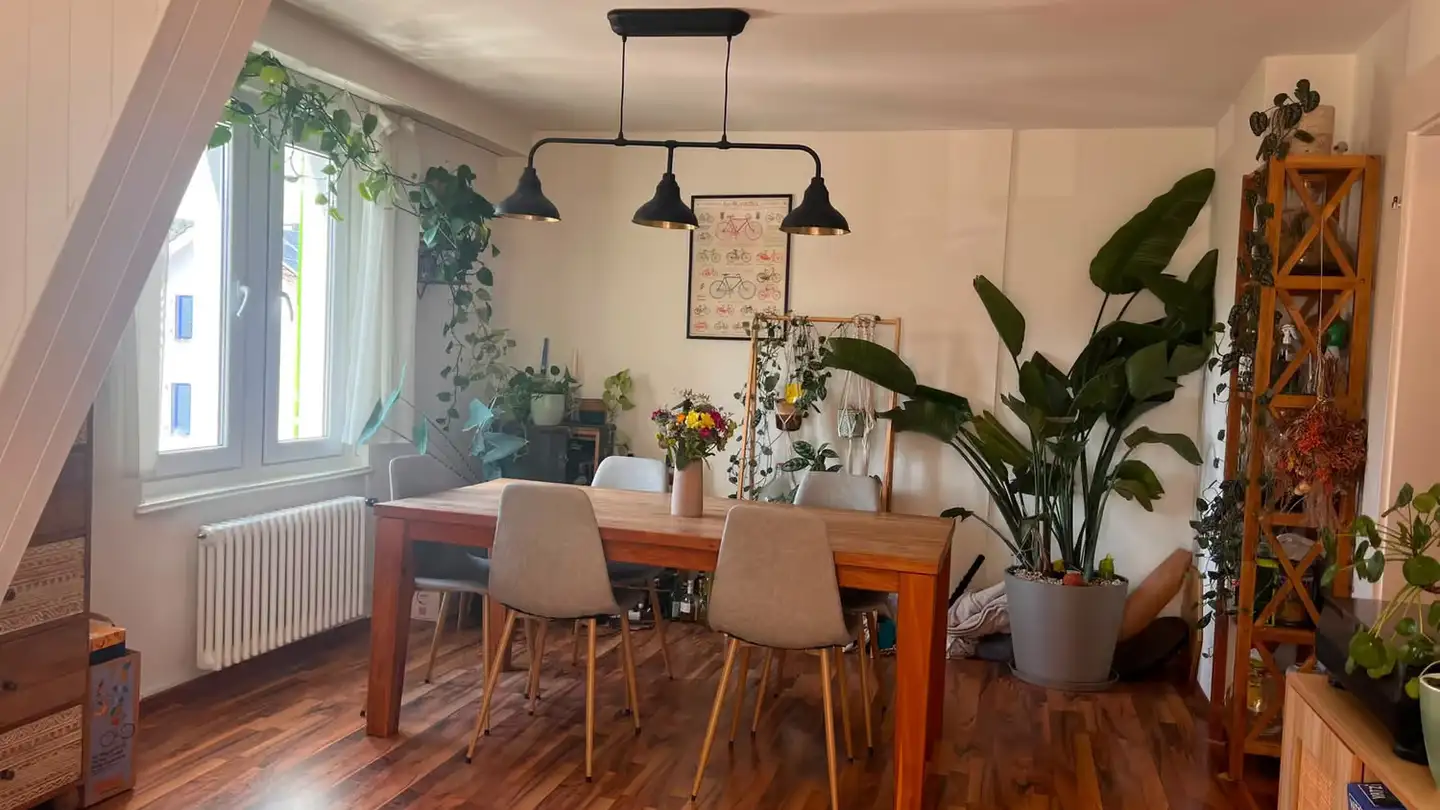 Chambre à louer - Albrechtstrasse, 8406 Winterthur - Photo 3
